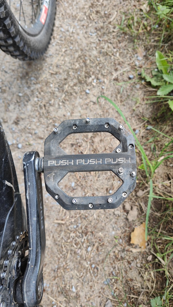 Shinkilla 2.0 Flat Pedal am Bike im Trail-Einsatz